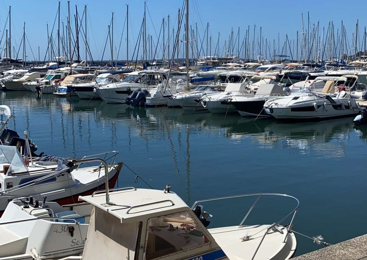 Port de Golfe-Juan - CCI Nice Côte d'Azur - Marina près de Vallauris (Super Cannes)